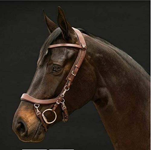 PresTeq FaySport Snaffle Bridle Cob Brown