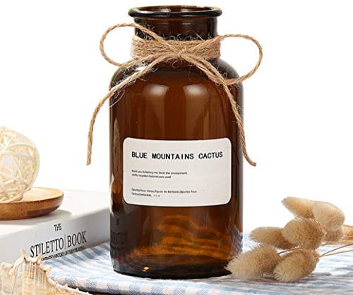 Ericotry Bouteilles décoratives en verre ambré - 500 ml - Pour vase d'apothicaire - Style vintage - Avec corde créative - Pour la décoration de la maison Antique,naturelle