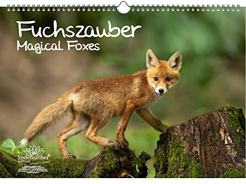 Fuchszauber Immerwährender Kalender DIN A3 Fuchs und Füchse - Seelenzauber
