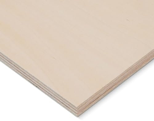 HausFux Multiplex-Platte nach Maß - 1,2 cm starkes Birken-Sperrholz, hohe Stabilität, kreuzweise verleimt - Handwerker-Qualität - Maßanfertigung (Natur, 20 x 10 cm)