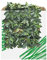 Verdemax 5635 50 x 50 cm Verdecor siepe con foglie like Photinia