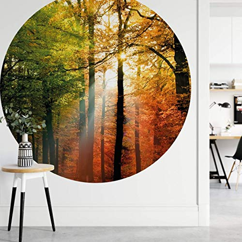 Fototapete Vliestapete Tapetenpaneele Rund Goldener Herbst Wald Natur Sonne bunt Laub Bäume Fotografie inkl. Schablone Ø188cm