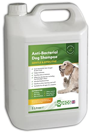 Aqueos Antibacterial, Antiviral & Antifungal Dog Shampoo for Itchy Skin, Minor-Wounds Cuts Grazes Skin Irritations & Sensitive Skin | Soothing & Deodorising Medicated Shampoo Alternative | 5 Litre