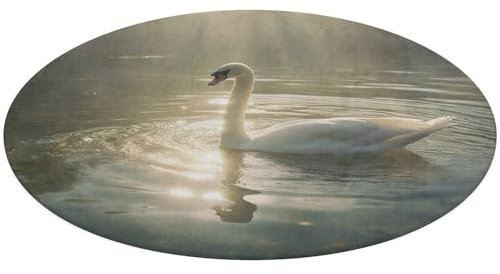 Runder Teppich, Schwan im Wasser, bedruckt, 60 cm, Korallen-Fleece, rutschfest, rund, waschbar, Teppich für Wohnzimmer, Schlafzimmer, Badezimmer, Eingangsbereich