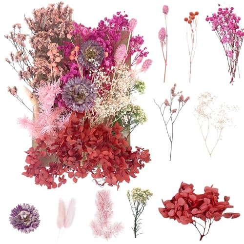 Getrocknete Blumen, gepresste Blumen, Trockenblumen, getrocknete Blumen, Kunsthandwerk für Heimwerker, Kunstharz, Scrapbooking, Schmuckherstellung, Blumendekorationen (Rot + Lila)