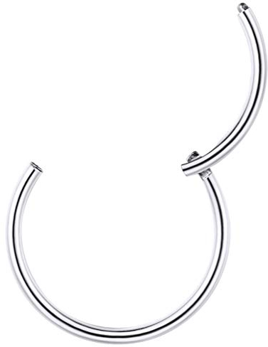 PROSTEEL Segmentring Clicker 316L Chirurgenstahl Nasenring Helixring Lippenring 20G 10mm Universal Piercing Nase Septum Ohr Tragus Conch Rook Fashion Körper Schmuck Accessoire