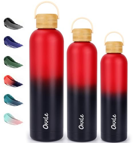 Gourde isotherme en acier inoxydable avec poignée et couvercle anti-fuite - 500 ml - Sans BPA - Convient pour les boissons gazeuses - 12 heures pour chaud/24 h froid