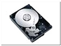 Fujitsu Disque dur interne 3,5 Capacité 1 To SATA II