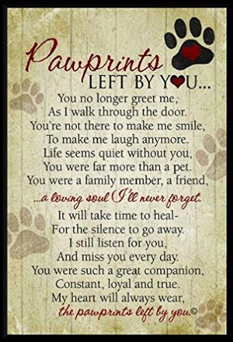 The Grandparent Gift Co. Grandparent Gifts - Placa conmemorativa para mascotas, diseño de huellas de patas, tamaño 5 x 7
