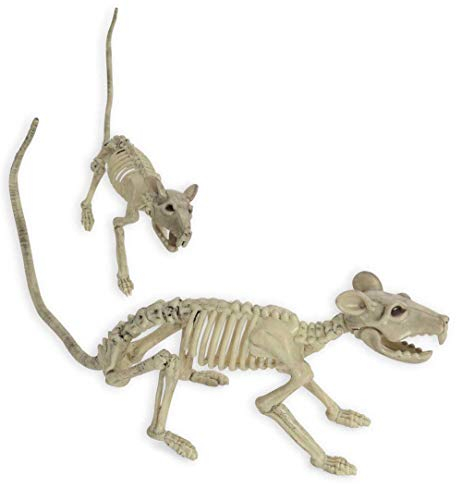 KarnevalsTeufel Ratten Fossil Deko Halloween Grusel Nagetier Skelett Knochengerüst außergewöhnlich erschreckend