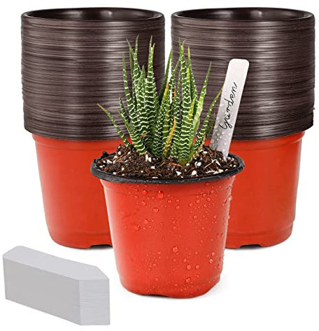 TDHDIKE 10,2 cm piccoli vasi in plastica per piante vivai/vasi (100 pezzi) per piantine, fiori, piantine, vasi per semi, vengono forniti con 100 etichette per piante