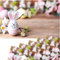 matches21 Frühlingshafte Tischsets Platzsets Motiv abwaschbar Osterhase Kirschblüten Holzbrett bunt 6er 43,5x28,5 cm