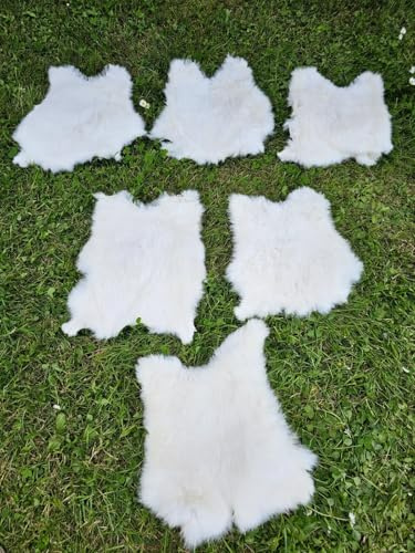 Provellus Kaninchen Felle Kaninchenfell viele Natur Farben TOP Gerbung (Weiß, 10 Stück 1.Wahl)