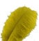 Sowder 10pcs Strauß-Federn 12-14inch (30-35cm) für Haupthochzeits-Dekoration (Gelb)