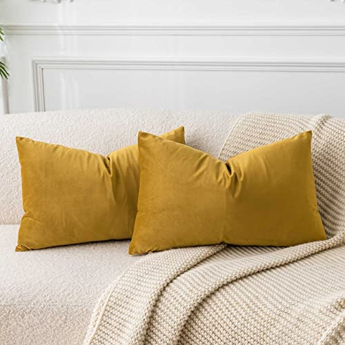 JUSPURBET Senfgelb Lendenkissen Samt-Kissenbezüge 40cmx60cm 2er-Set für Wohnzimmer Couch Sofa Schlafzimmer Dekorative Rechteckig Feste Weiche Kissenhüllen mit unsichtbarem Reißverschluss﻿
