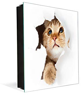 Concept Crystal Schlüsselkasten zur Wandmontage mit dekorativer Magnettafel K02 Katze in Papier