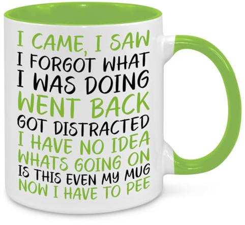 I Came I Saw I Forgot Mug - Funny Novelty Gift Silly Present Mugs for Women Birthday Christmas for Mum Dad Friend Sister for Men Colleague Secret Santa Work Quotes (Green)