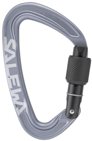 Salewa Ortles-Schraubkarabiner
