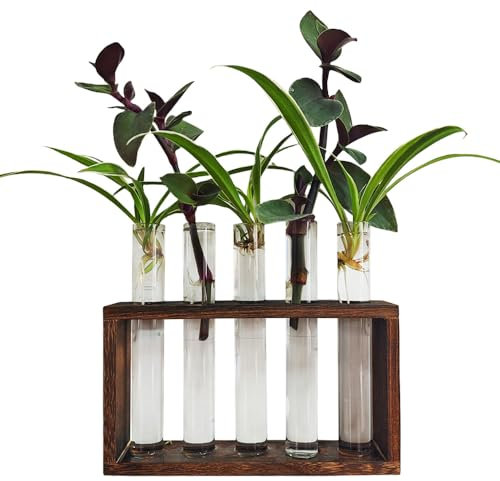 ReagenzgläSer Für Blumen, Wandvasen Glas, Reagenzglas Vase, Ableger Pflanzen Glas, Hydrokultur Glas,Propagation Station,Pflanzen Geschenke-5B