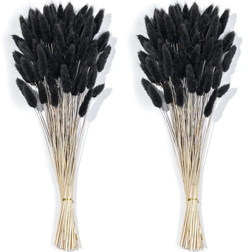 Barlone 120 Stück Pampasgras Klein, Hasenschwanzgras Getrocknet Pampasgras Deko, Pampas Gras Trockenblumen Schwarz, Trockenblumen Klein Pampas Gras für Deko Wohnzimmer Hochzeit Tischdeko