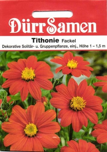 Dürr-Samen - Tithonie Fackel orangerot einjährig 1 15m Saatgut