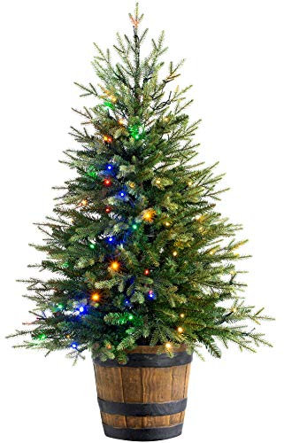 WeRChristmas Pre-Lit Potted Pine Christmas Tree with Dual LED Lights, Green, 4 feet/1.2m