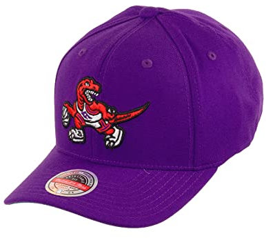 Mitchell & Ness Snapback Cap NBA Team Ground Stretch Toronto Raptors