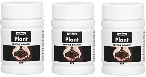 Alvinlite Rooting Powder for Plants Cuttings, 3 x 50g Hormone Rooting Powder, Enhanced Formula Help New Roots on Cuttings, Quick Growth Improving Flowering Cutting Survival