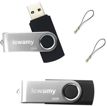 lcwamy 32GB USB Stick 2 Pack USB Flash Drives Pack Thumb Drive 2 Pack USB2.0 32GB Flash Drive Pack Bulk USB Drive Pack