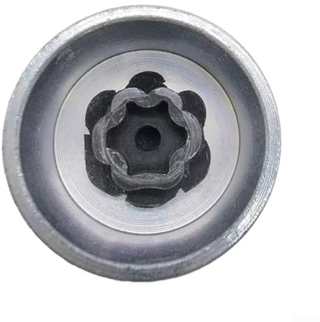 HpLive Tuercas antirrobo para llantas BMW Mini (73)