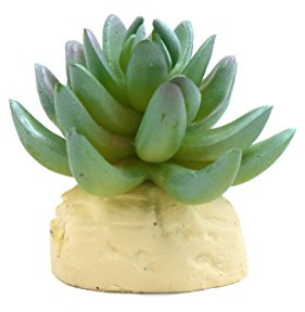 sourcing map Grün Plastikkaktus Pflanze Terrarium Reptil Behälter Lebensraum Dekor Reptilien de