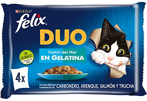 Felix Duo, Nassfutter für ausgewachsene Katzen, Gelee, Sortiment, Köhler, Hering, Lachs und Forelle, 12 Packungen mit 4 Beuteln à 85 g (48 Umschläge)