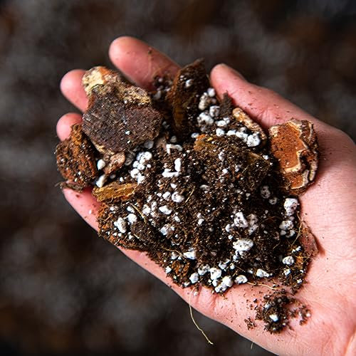 Bonsai Mix Organic with Mycorrhizal Fungi – Premium Potting Blend with Perlite, Worm Castings, Coco Coir, Neem and Seaweed for Strong Roots and Healthy Growth (5L)