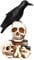 Veemoon 1 Stück Lampe Halloween Desktop Lampen Halloween Deko Licht Kopflichter Bar Lichter Halloween Schädel Lichter Ktv Lampe Skelett Kopflichter Licht Für