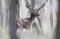 VLIES Fototapete-HIRSCHE-(PF7716)-500x280 cm-Foto-Kunst Rothirsch Rotwild Edelhirsch Damhirsch Reh Ren Elch Tier Wald Landschaft Natur