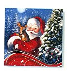 Astuceo Weihnachts- und Faon-Servietten - 20