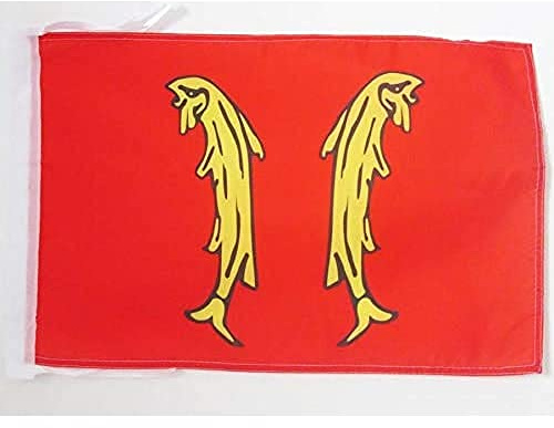 AZ FLAG French Principality of Montbeliard Flag 45x30 cm Cords | Indoor and outdoor use Department of France 12x18 in decorative flag double stitched seams and reinforced edges with ties