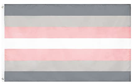 Flaglink Demigirl Pride Flagge, 90 x 152 cm, LGBTQIA Demi Frauen Geschlecht Banner
