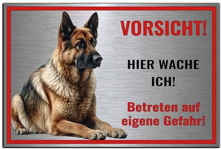 Schild Vorsicht Hier wache ich - Betreten auf eigene Gefahr! Achtung - Hundeschild Warnschild - Warnung vor dem Hund - Deutsche Schäferhund M4 (Silber gebürstet, 30x20 cm)
