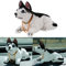 A48D KFZ Auto Dekoration Bobbing Leiter Hund Husky geformt Wackelhund Halskette, Passend für Autos, Büro oder Wohnzimmer, Gewicht: 105g, Farbe Schwarz-Weiß
