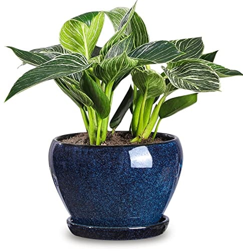 vicrays Pots de Fleurs d'intérieur en céramique – 16,5 cm avec Trou de Drainage et Soucoupe pour orchidée, Fleurs, Herbes, Cactus – Idéal pour Le Jardinage, la décoration de la Maison Bureau – Bleu