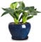 vicrays Pots de Fleurs d'intérieur en céramique – 16,5 cm avec Trou de Drainage et Soucoupe pour orchidée, Fleurs, Herbes, Cactus – Idéal pour Le Jardinage, la décoration de la Maison Bureau – Bleu