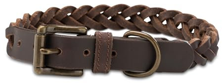 Fettleder Hunde Halsband geflochten – Robustes Lederhalsband aus Handarbeit – hochwertiges Büffel-Leder Halsband Clarissa (L (42.0-51.0cm))