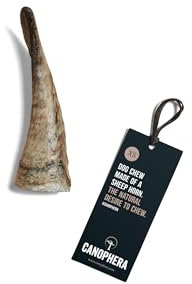 Canophera Hundekauhorn vom Schaf | Schafhorn in verschiedenen Größen | Kauspielzeug von freilebenden Schafen | 100% natürlich (XS)