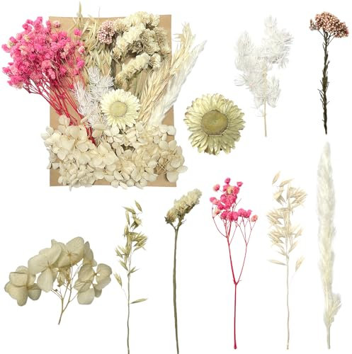 Getrocknete Blumen, gepresste Blumen, Trockenblumen, getrocknete Blumen, Basteln für Heimwerker, Kunstharz, Scrapbooking, Schmuckherstellung, Blumendekorationen(Rosa und Weiß)