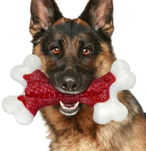 ChienBox Jouet Chien Indestructible: Jouet pour Chien Durables en Nylon Saveur de Bœuf, Jouets pour Chiens de Grande Moyenne, Jouets à Mâcher pour Chiens Nettoyage Dents et Entraînement