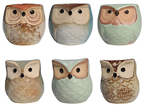 Rianpesn Eule Sukkulenten Töpfe | 6 Stück Keramik-Eulen-Blumentöpfe - Kaktus-Topf, Sukkulenten-Behälter mit Abflussloch, Heimbüros, Schreibtisch, Garten, Geschenkidee