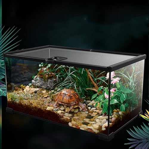 AWXZOM Mini-Reptilien-Glas-Terrarium, Käfig für Vogelspinnen, Schlinge, Geckos, Frosch, Eidechsen, Chamäleons, Schildkröten, Schlangen, Schnecken, Insekten, Einsiedlerkrebse, Isopoden, Reptiliengehege