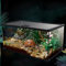 AWXZOM Mini-Reptilien-Glas-Terrarium, Käfig für Vogelspinnen, Schlinge, Geckos, Frosch, Eidechsen, Chamäleons, Schildkröten, Schlangen, Schnecken, Insekten, Einsiedlerkrebse, Isopoden, Reptiliengehege