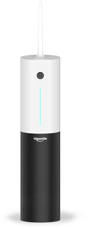 Munddusche Kabellos, Elektrische Zahnreiniger 3 Modi & 24 Intensitäten, Munddusche Testsieger mit 4 Jet-Tipps, Tragbare Zahndusche für Entfernt Speisereste und Reinigt Die Zähne (Panda)